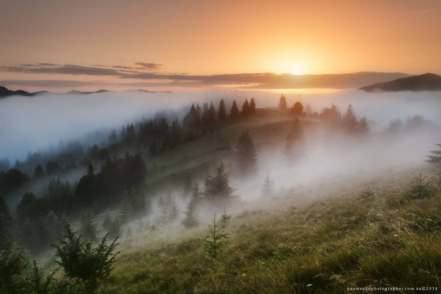 украина, карпаты, дземброня, лето, туман, лес, пейзаж, небо, утро, горы, природа, путешествия, туризм, солнце, сцена, фон, страна, красота, туманный, цвет, земля, свет, горы, естественно, дерево, Александр Науменко