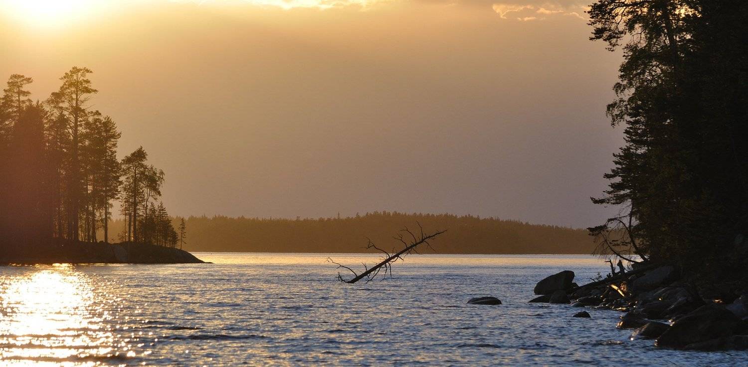 , Андрей Куликов