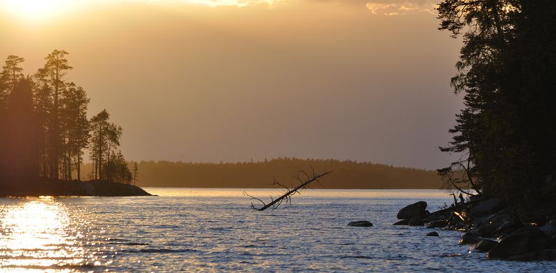 В контровом свете фото превью
