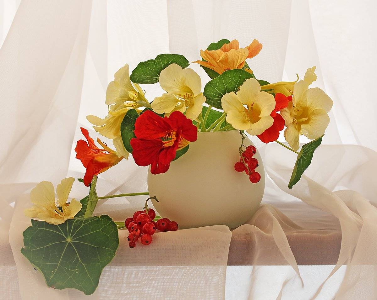 Ваза, Настурция, Смородина, Цветы, Инна Сухова