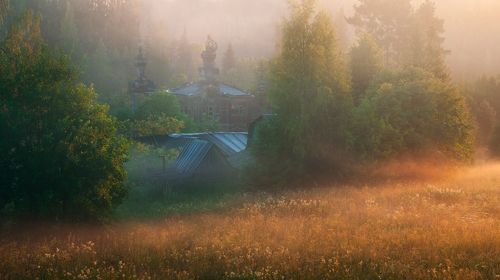 В солнечном тумане
