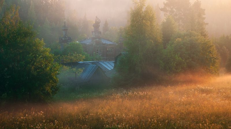 В солнечном тумане фото превью