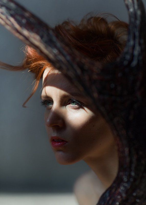 портрет, девушка,солнце,красный 4. Лиса фото превью