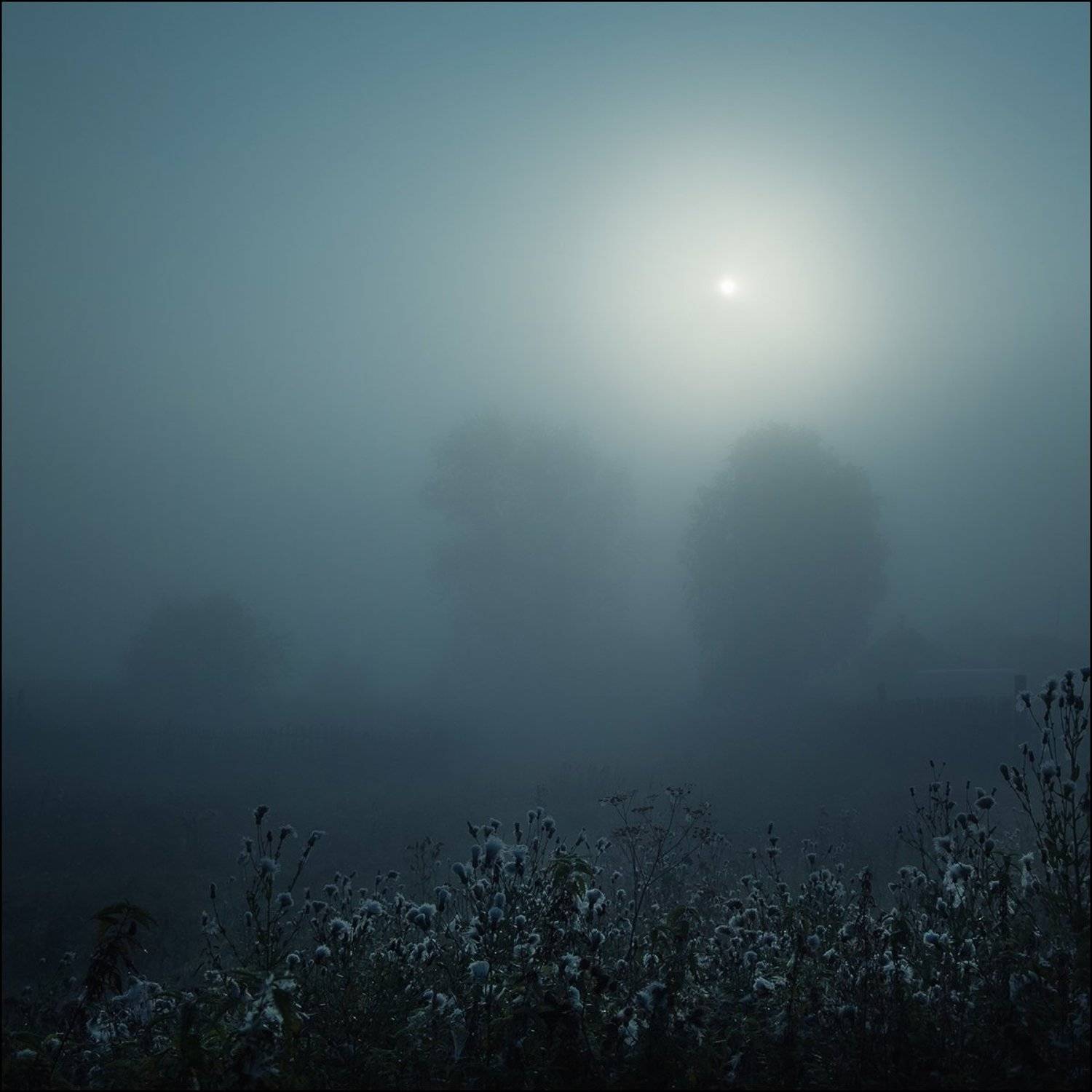 Туман, Утро, Илья Бисеров