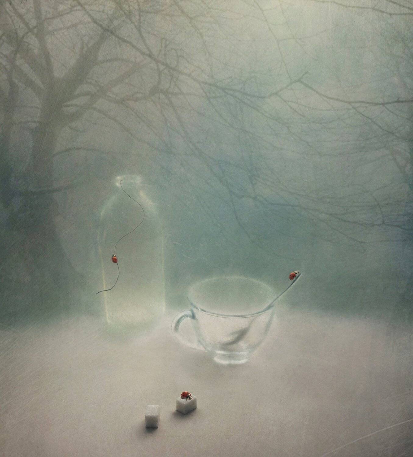 божья коровка, чашка, ложка, бутылка, сахар, природа, Елена