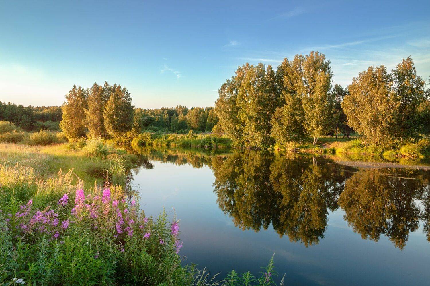 , Олег Богданов