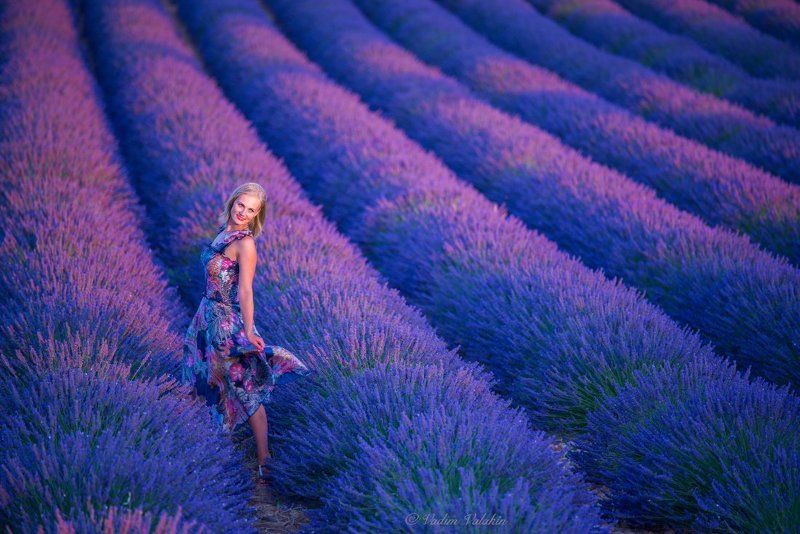 Девушка, Красивая девушка, Лаванда, Лето, Пейзаж, Прованс, Франция, Цветы Лавандовый сезон фото превью