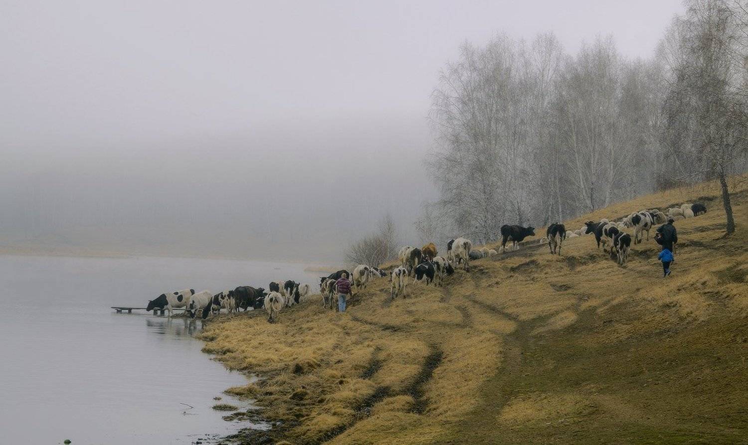 , Николай Морский