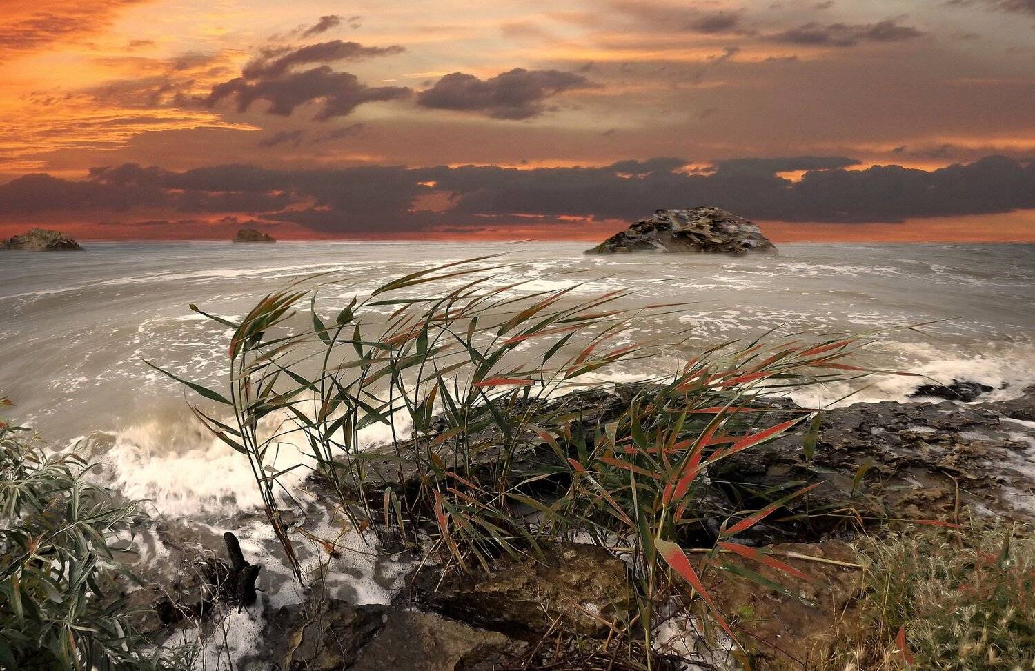 одесса, Сергей Кошелев