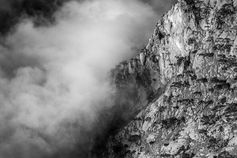 Всё поглощающий туман фото превью