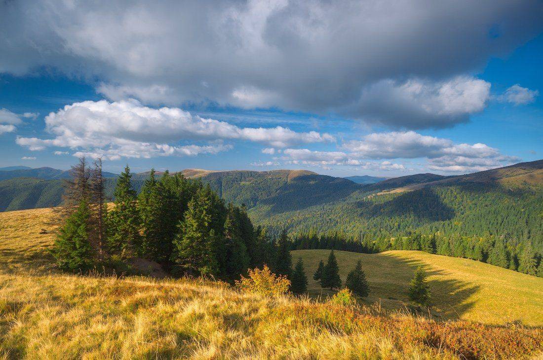 , Ярослав Тюрменко (Jaremi)