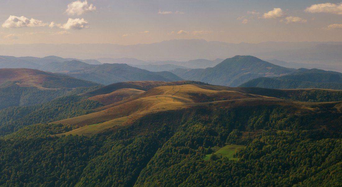 , Ярослав Тюрменко (Jaremi)