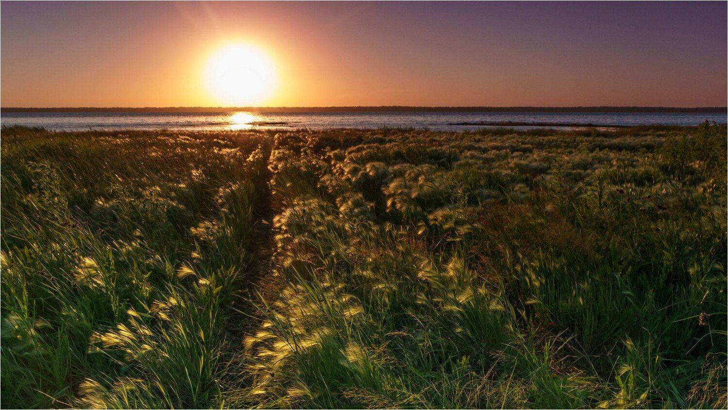 пейзаж, лето, закат, озеро , Александр Потапов