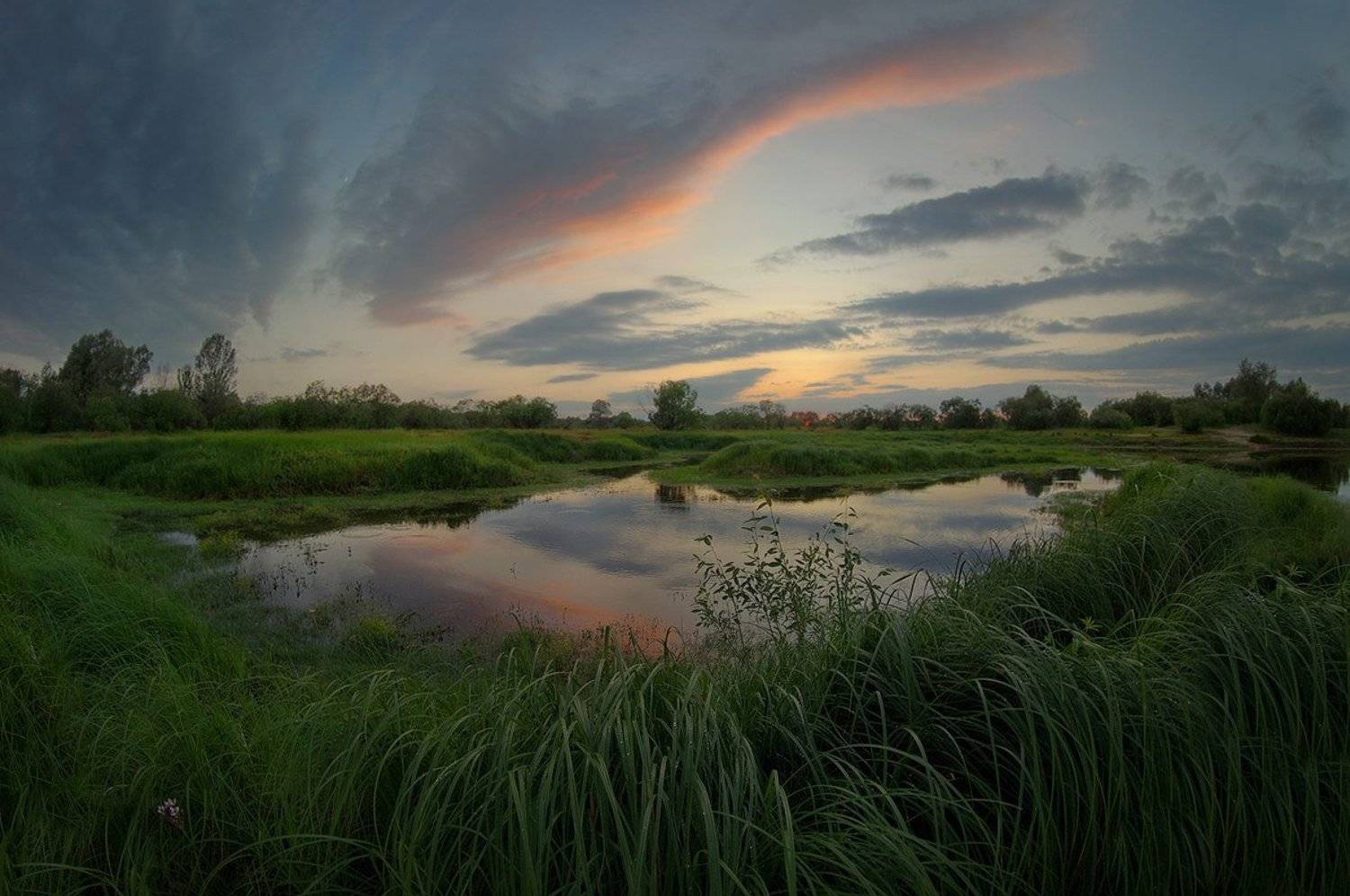 , Сергей Шляга