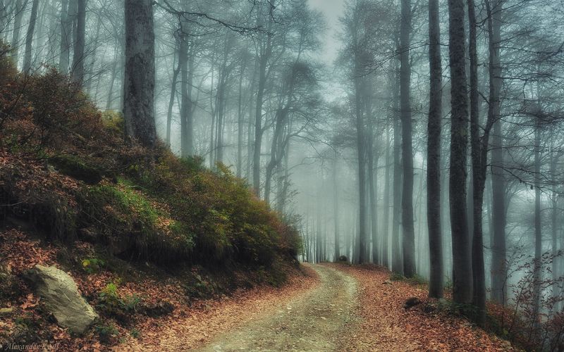 Кавказ, Красная Поляна Пути-дорожки горные... фото превью