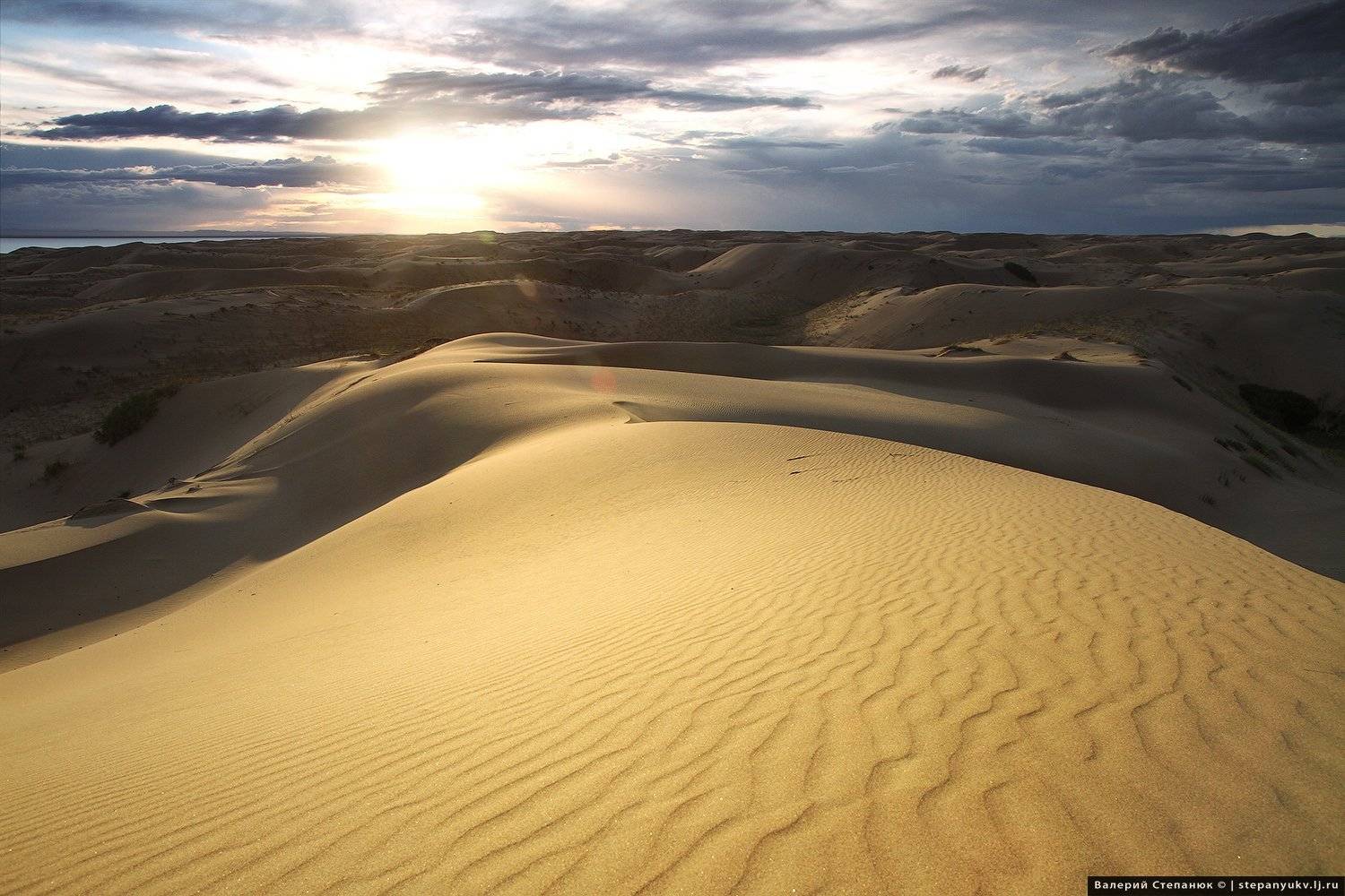 Монголия, путешествия, пустыня, Степанюк Валера