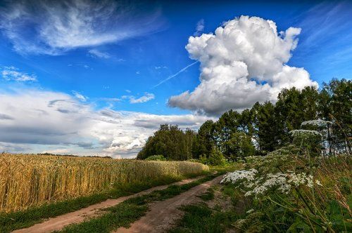 Яркие краски июльского вечера
