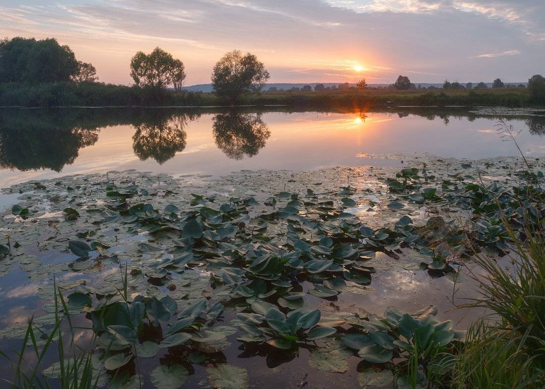 , Ярослав Тюрменко (Jaremi)