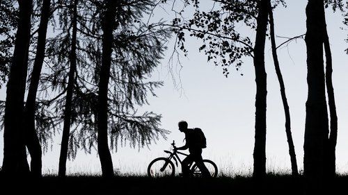 Силуэт велосипедиста в лесу