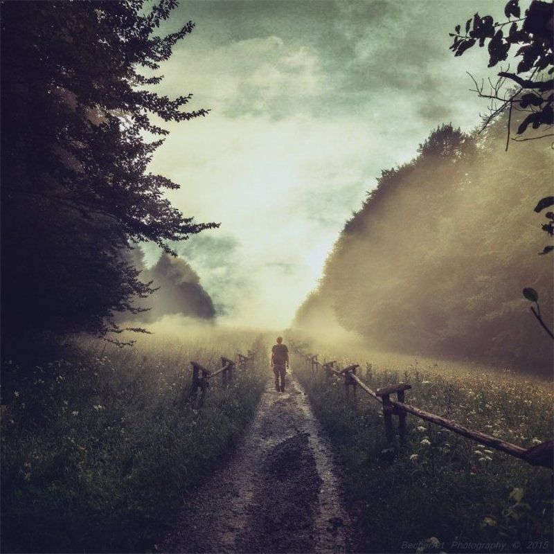 Location:Silence (Part.X.) фото превью