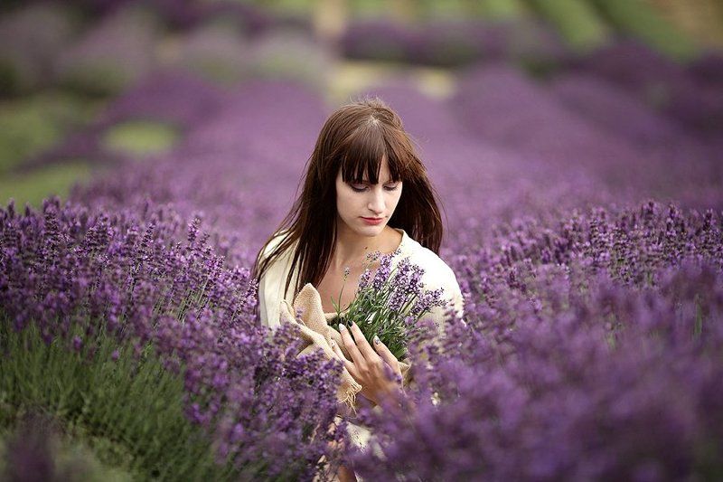 Lavender day фото превью