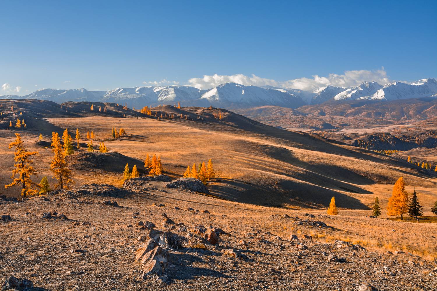 россия, горный алтай, осень, утро, Андрей Поляков