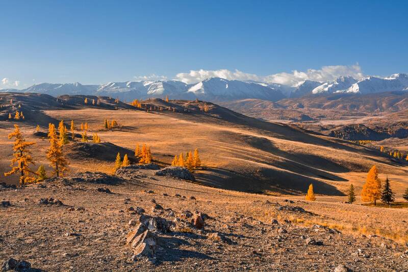 россия, горный алтай, осень, утро Утренние тени фото превью