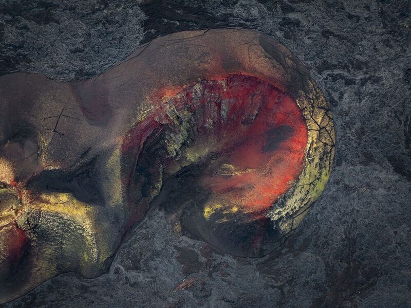 Клешня фото превью