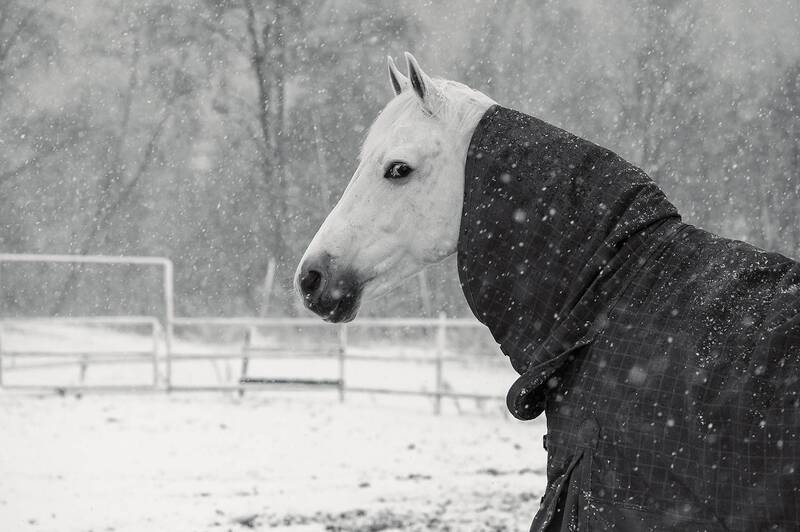 .... фото превью