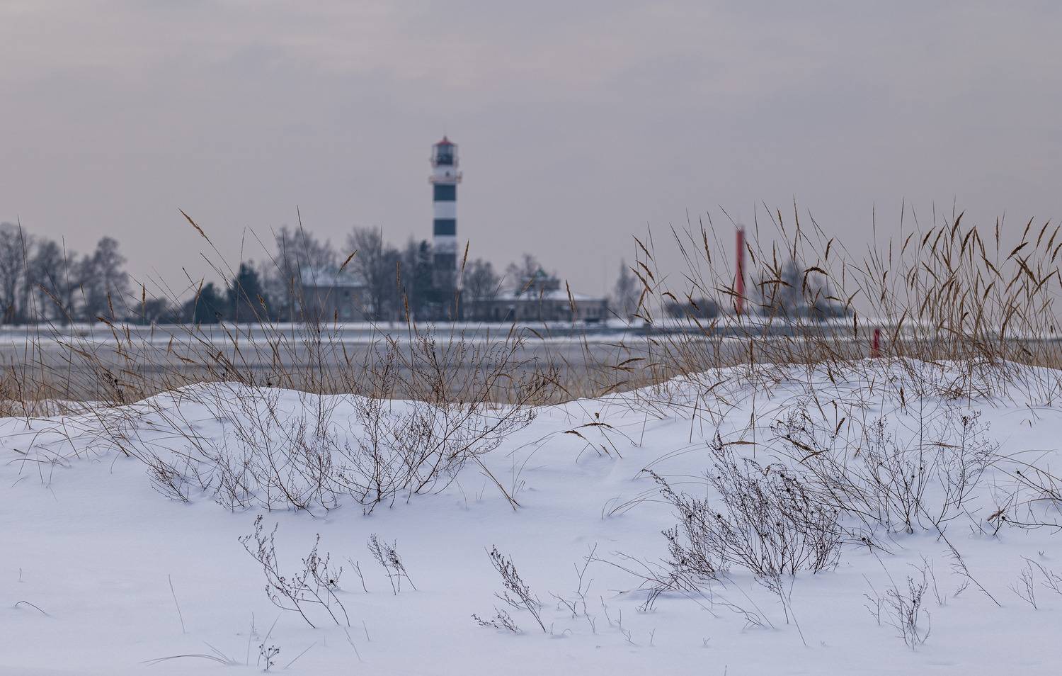 , Гордон Николай