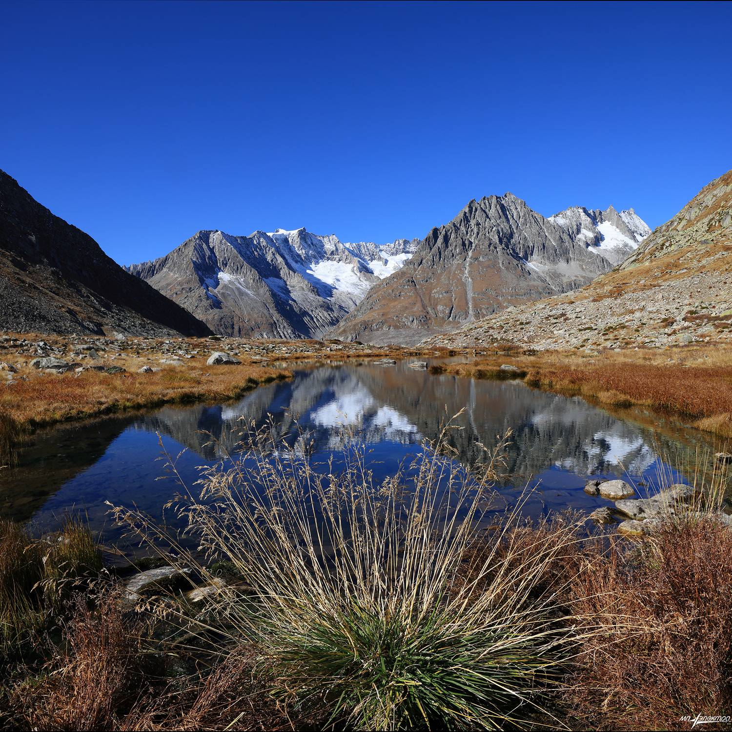 swiss, Матвеев Николай
