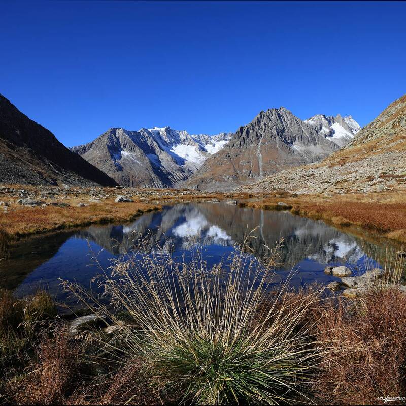 swiss Безоблачная жизнь фото превью
