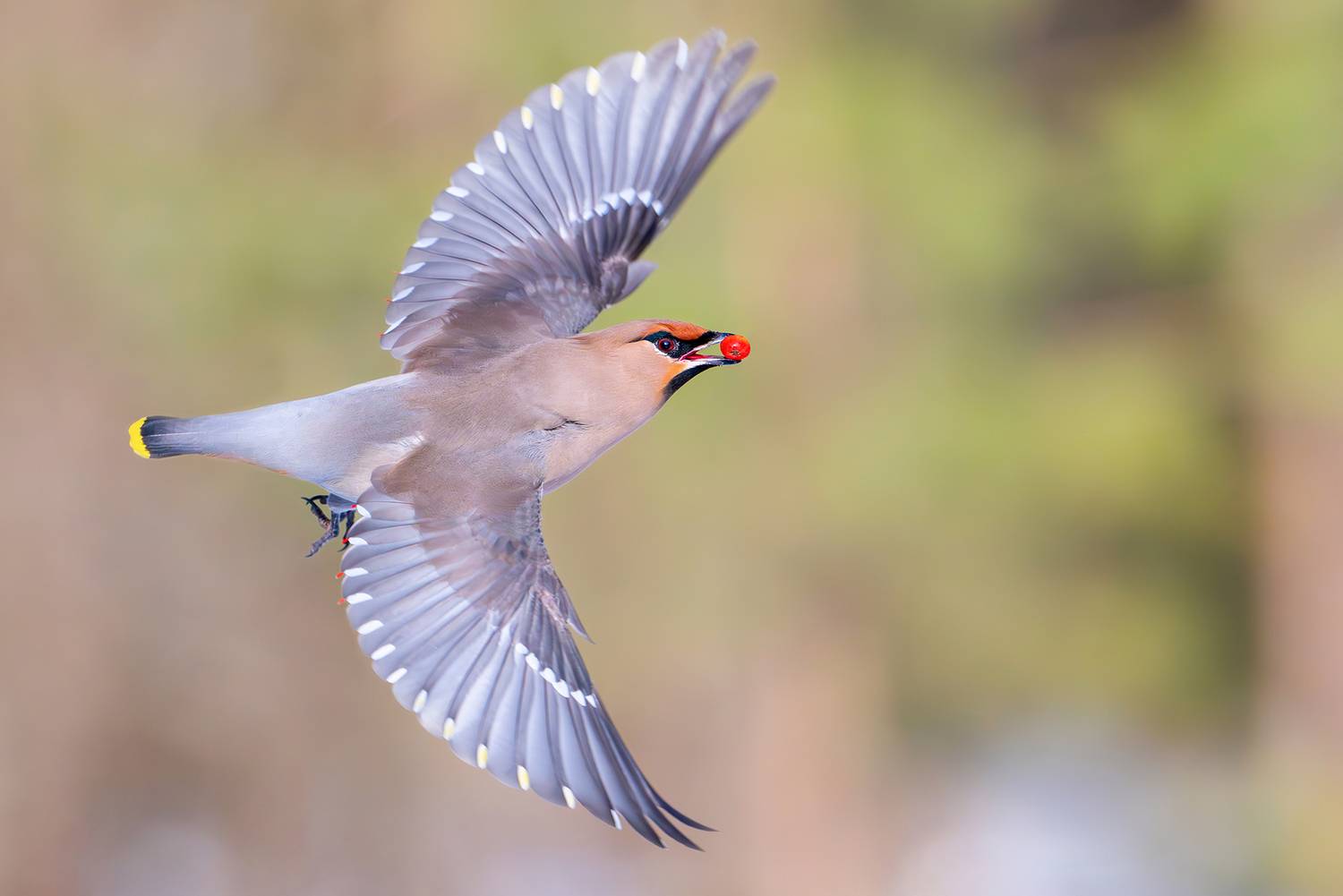 , Сумников Алексей