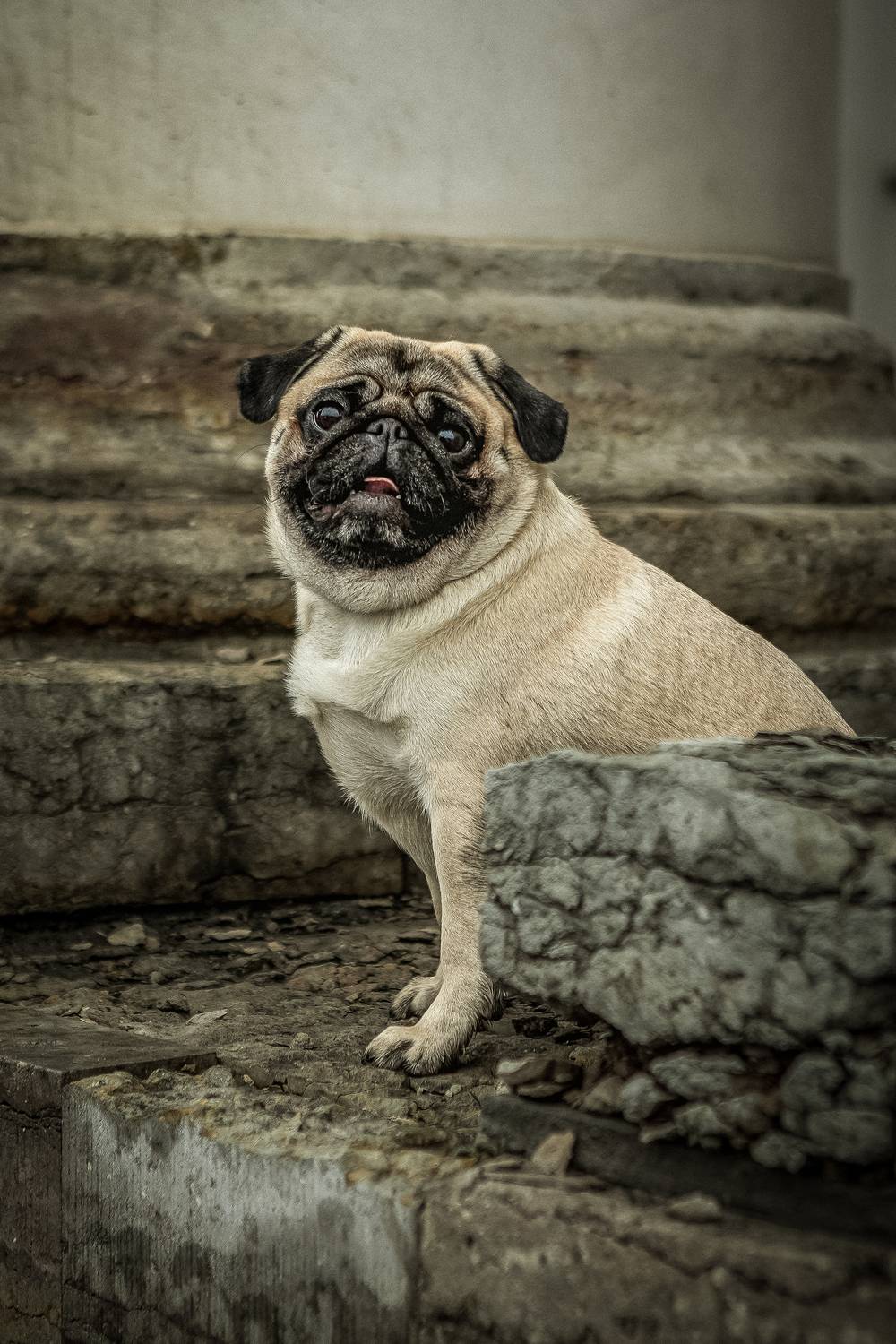 , Елена Самусенкова