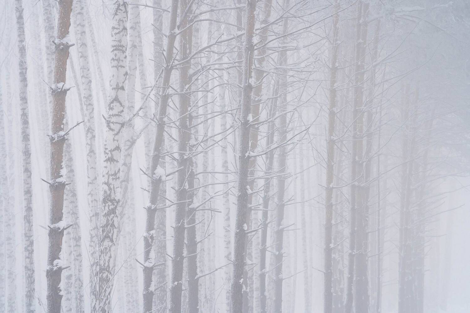 , Важенин Евгений