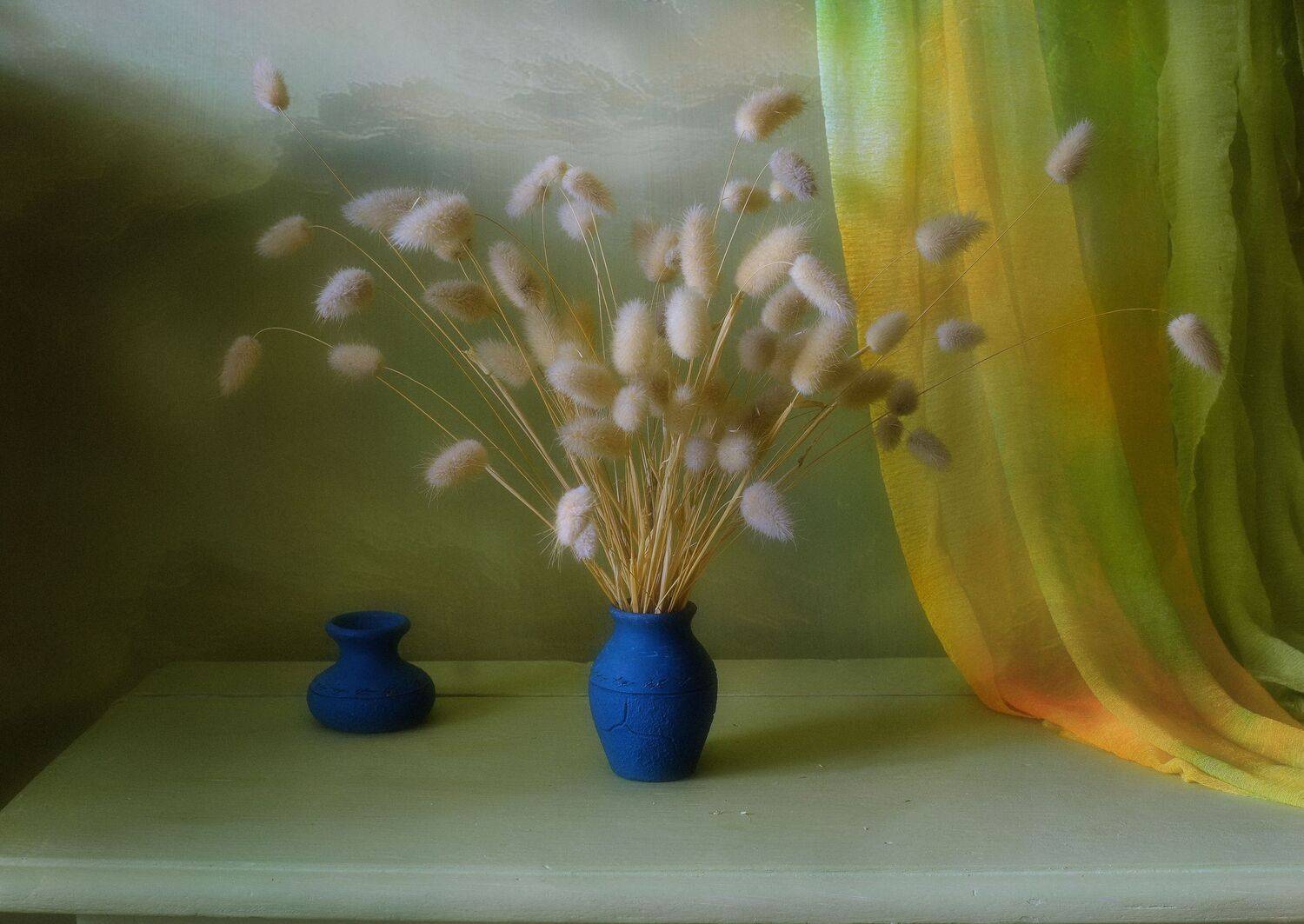 сухоцвет, ваза, синий, свет, цвет, инаида, Инаида