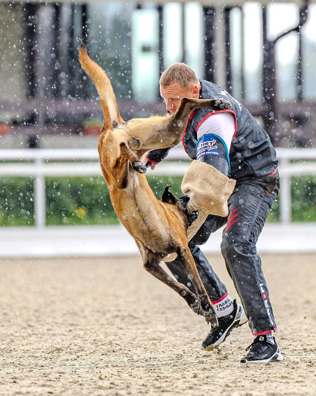 , Сергей Жиркевич