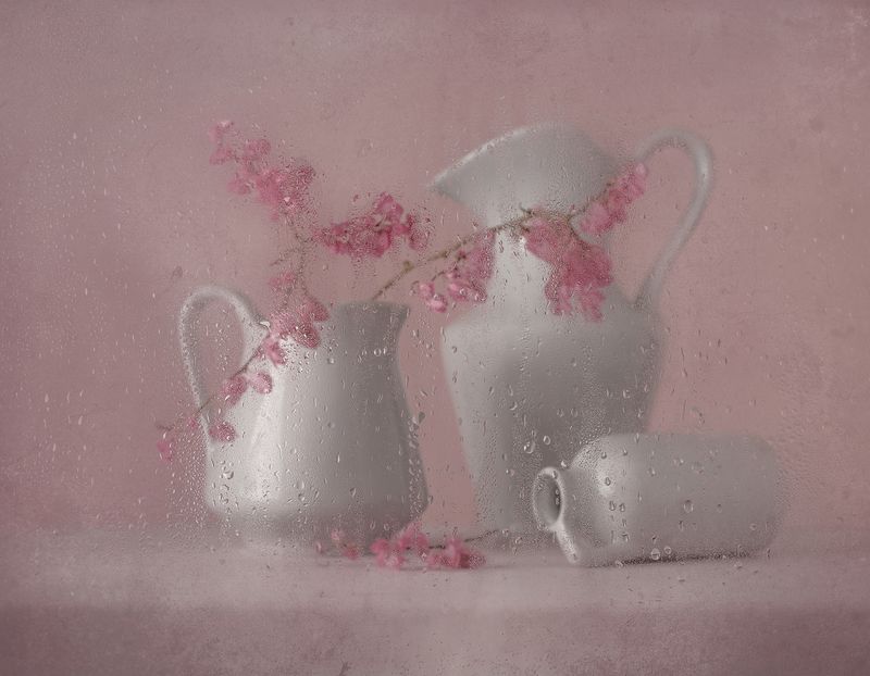 still life, rain, pink, flowers, drops, light The rain фото превью