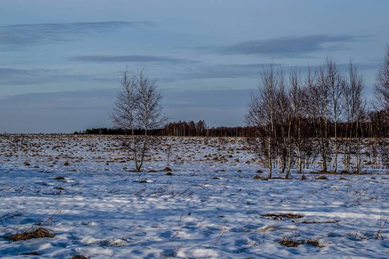 Март фото превью