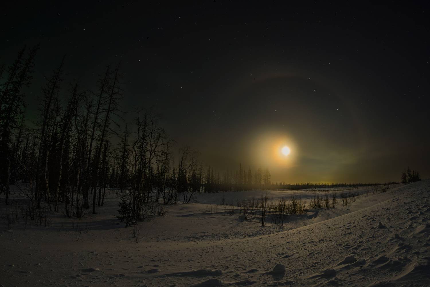 луна, аврора, зима, снег, гало, небо, лес, янао, надым, Сторожев Олег