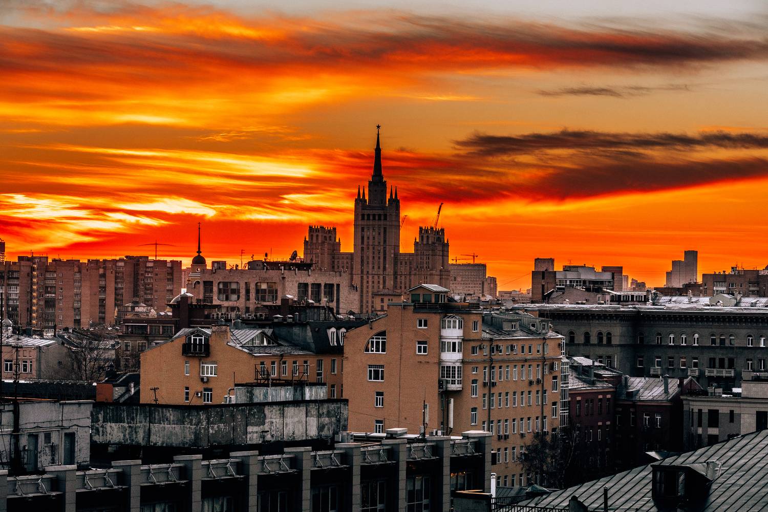 , Трепольский Дмитрий