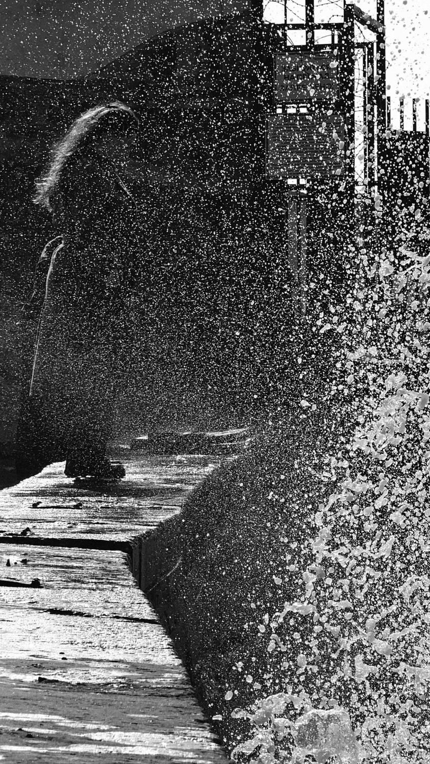 , Пирог Борис