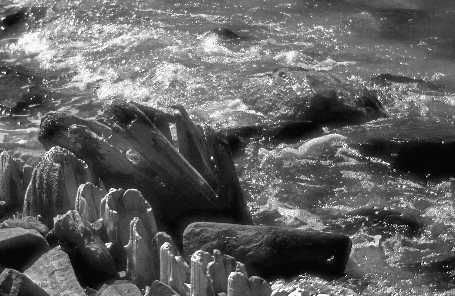 , Андрей Петросян