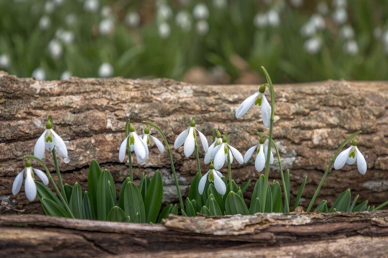 крым Сама нежность фото превью