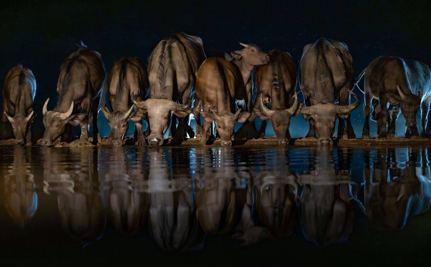 Кения, Сулоев Алексей