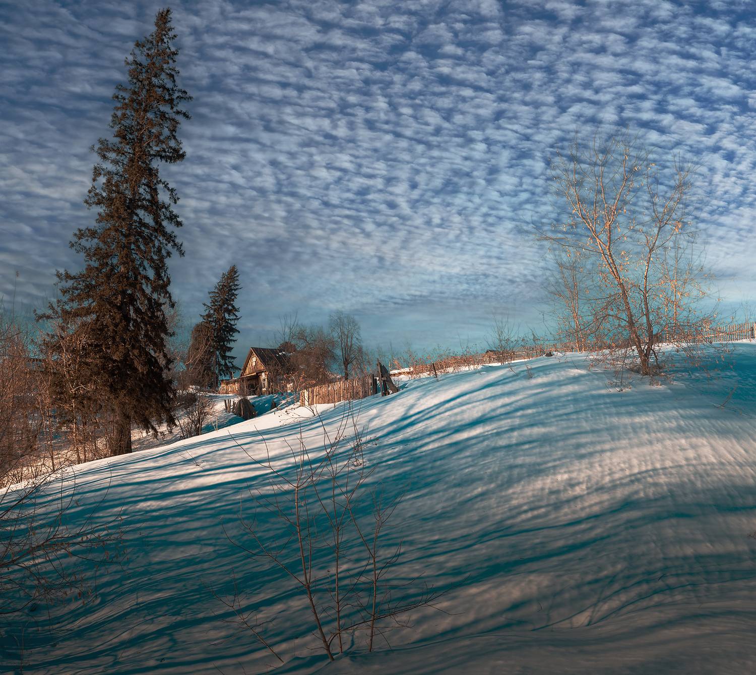 , Виктор Холудеев