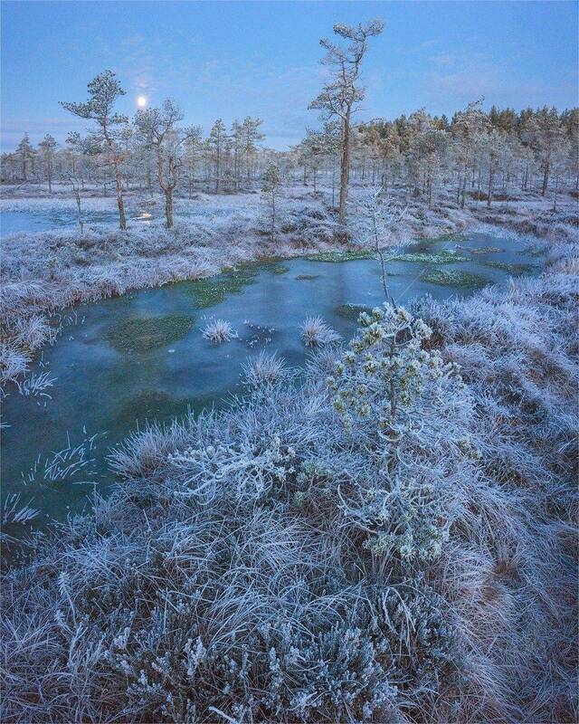 Болотное, предрассветное фото превью