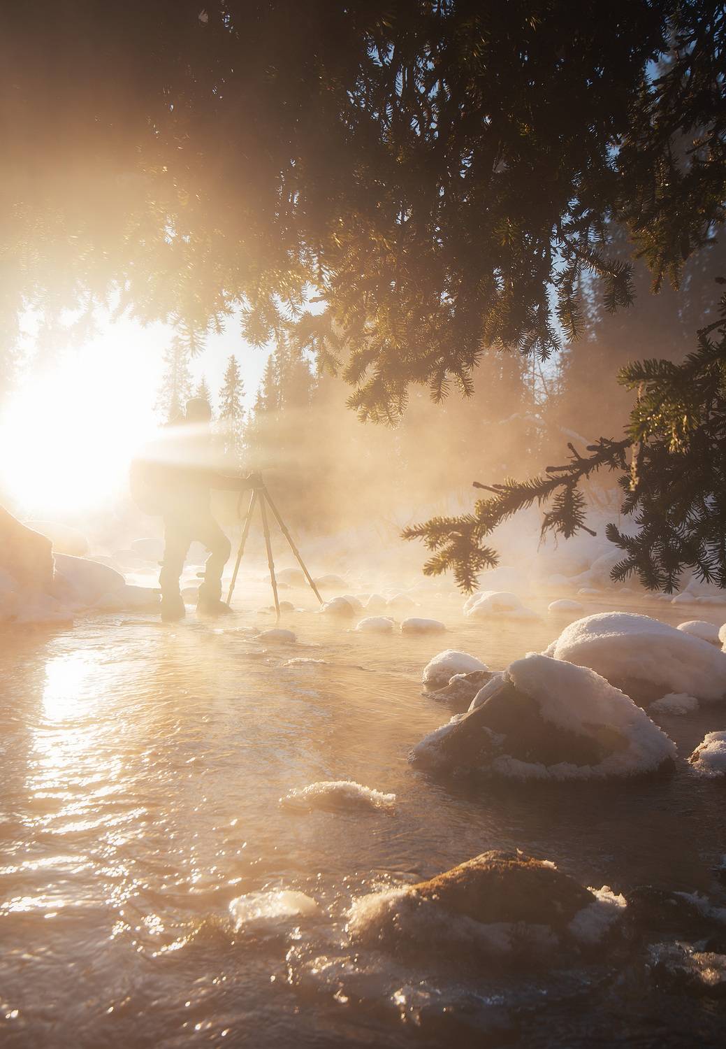 , Анастасия Петрова