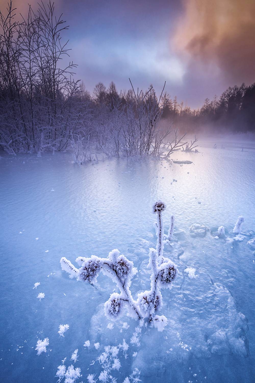 , Владимир Климов