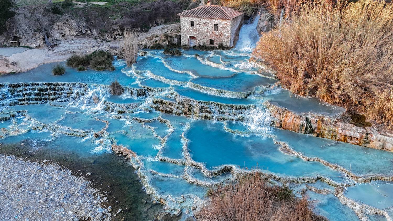 , Максимова Дария